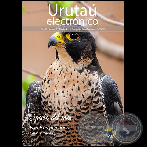 URUTAÚ ELECTRÓNICO - NÚMERO 10 - AÑO 12 - OCTUBRE 2014