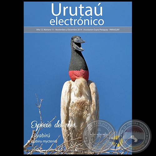 URUTAÚ ELECTRÓNICO - NÚMERO 11 - AÑO 12 - NOVIEMBRE Y DICIEMBREBRE 2014