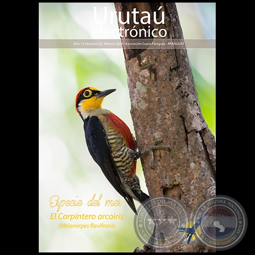 URUTAÚ ELECTRÓNICO - NÚMERO 02 - AÑO 13 - FEBRERO 2015