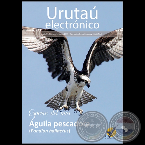 URUTAÚ ELECTRÓNICO - NÚMERO 03 - AÑO 11 - MARZO 2013