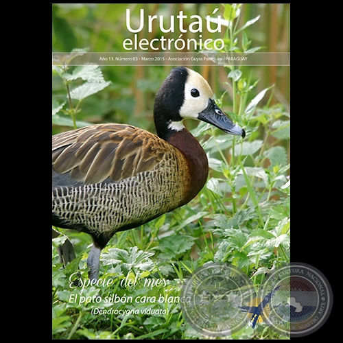 URUTAÚ ELECTRÓNICO - NÚMERO 03 - AÑO 13 - MARZO 2015