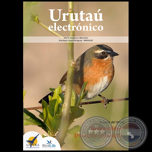 URUTAÚ ELECTRÓNICO - NÚMERO 03 - AÑO 9 - ABRIL 2011