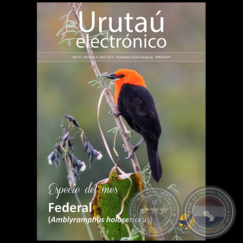 URUTAÚ ELECTRÓNICO - NÚMERO 04 - AÑO 11 - ABRIL 2013