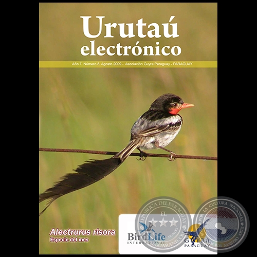URUTAÚ ELECTRÓNICO - NÚMERO 08 - AÑO 7 - AGOSTO 2009