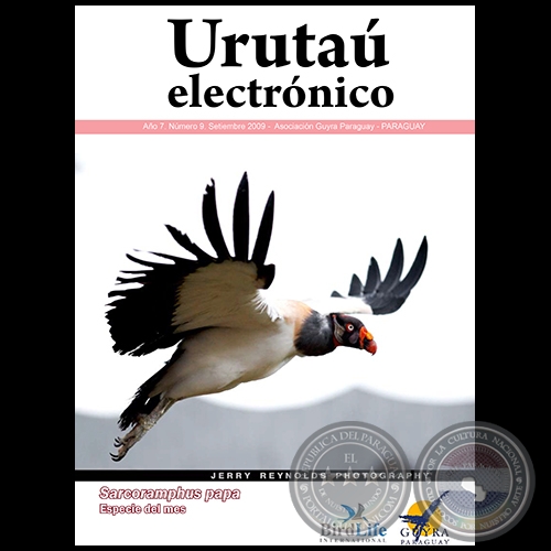 URUTAÚ ELECTRÓNICO - NÚMERO 09 - AÑO 7 - SETIEMBRE 2009