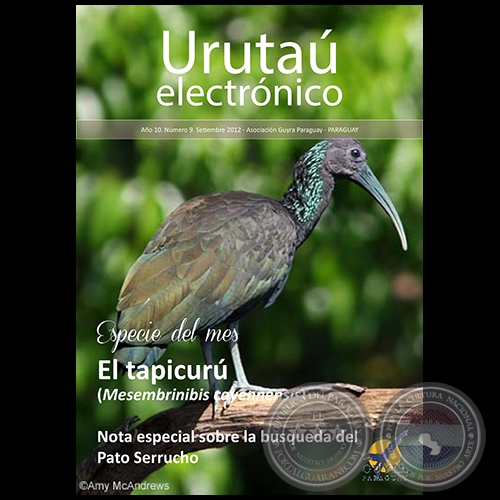 URUTAÚ ELECTRÓNICO - NÚMERO 09 - AÑO 10 - SETIEMBRE 2012