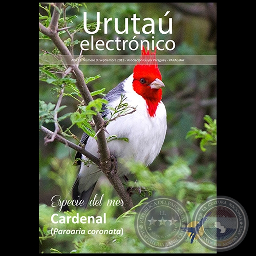 URUTAÚ ELECTRÓNICO - NÚMERO 09 - AÑO 11 - SETIEMBRE 2013