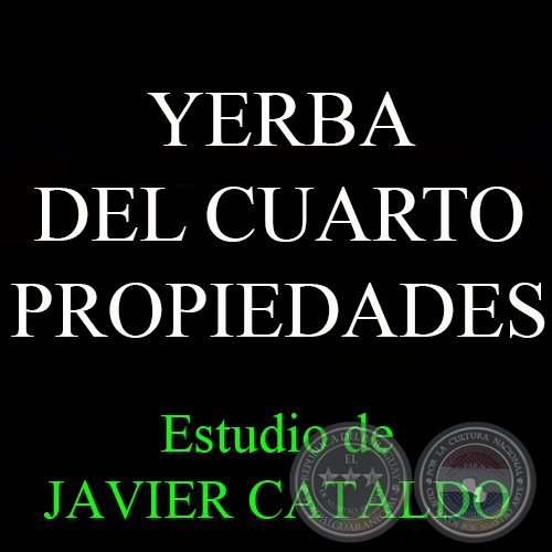 YERBA DEL CUARTO - PROPIEDADES - Estudio de JAVIER CATALDO