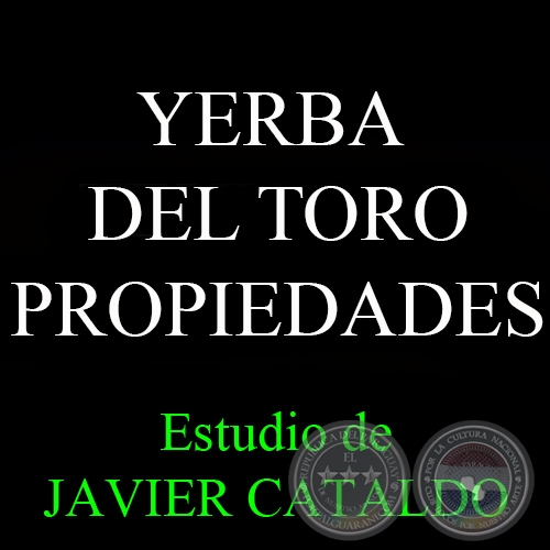YERBA DEL TORO - PROPIEDADES - Estudio de JAVIER CATALDO