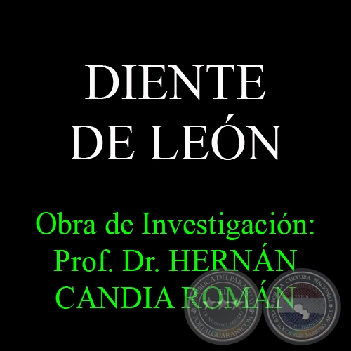 DIENTE DE LEÓN - Obra de Investigación: Prof. Dr. HERNÁN CANDIA ROMÁN