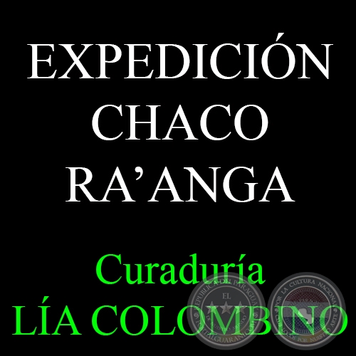 EXPEDICIÓN CHACO RA’ANGA, 2015 - Curaduría LÍA COLOMBINO