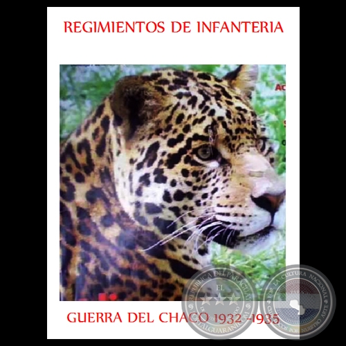 REGIMIENTOS DE INFANTERÍA DE LA GUERRA DEL CHACO 1932-1935 - Por GERALDINO GAMARRA