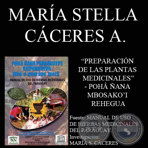 PREPARACIÓN DE LAS PLANTAS MEDICINALES