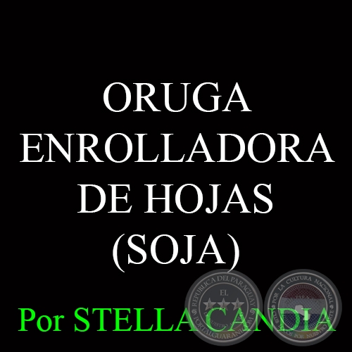 ORUGA ENROLLADORA DE HOJAS - Ing. Agrónoma STELLA CANDIA