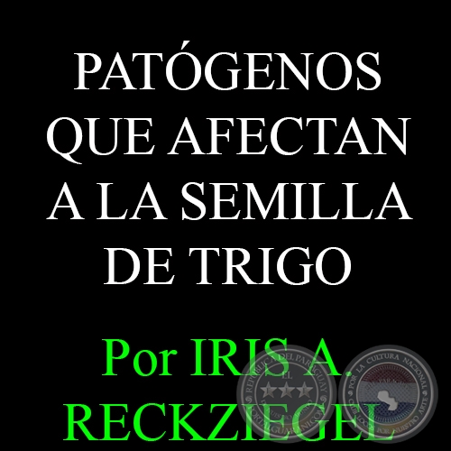 PATÓGENOS QUE AFECTAN A LA SEMILLA DE TRIGO - Ingeniera Agrónoma IRIS A. RECKZIEGEL 
