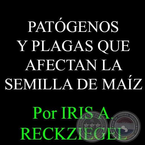 PRINCIPALES PATÓGENOS Y PLAGAS QUE AFECTAN LA SEMILLA DE MAÍZ - Por IRIS A. RECKZIEGEL 