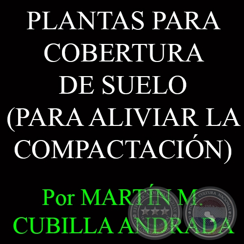 PLANTAS PARA COBERTURA DE SUELO - Por MARTÍN M. CUBILLA ANDRADA