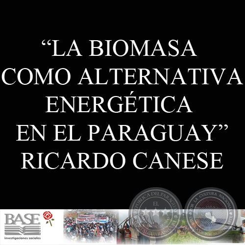 LA BIOMASA COMO ALTERNATIVA ENERGÉTICA EN EL PARAGUAY (RICARDO CANESE) - Noviembre de 1986