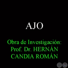AJO - Obra de Investigación: Prof. Dr. HERNÁN CANDIA ROMÁN