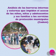ANÁLISIS DE LAS BARRERAS QUE IMPIDEN EL ACCESO A LAS CODENIS