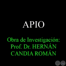 APIO - Obra de Investigación: Prof. Dr. HERNÁN CANDIA ROMÁN