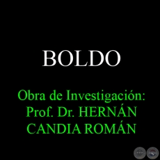BOLDO - Obra de Investigación: Prof. Dr. HERNÁN CANDIA ROMÁN