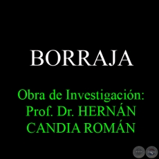 BORRAJA - Obra de Investigación: Prof. Dr. HERNÁN CANDIA ROMÁN