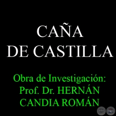 CAA DE CASTILLA - Obra de Investigacin: Prof. Dr. HERNN CANDIA ROMN