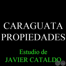 CARAGUATA - PROPIEDADES - Estudio de JAVIER CATALDO