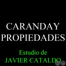CARANDAY - PROPIEDADES - Estudio de JAVIER CATALDO