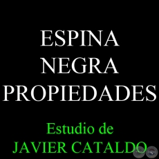 ESPINA NEGRA - PROPIEDADES - Estudio de JAVIER CATALDO