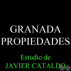 GRANADA - PROPIEDADES - Estudio de JAVIER CATALDO