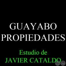GUAYABO - PROPIEDADES - Estudio de JAVIER CATALDO