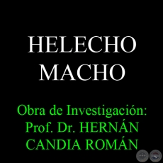 HELECHO MACHO - Obra de Investigacin: Prof. Dr. HERNN CANDIA ROMN