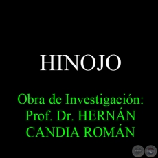 HINOJO - Obra de Investigacin: Prof. Dr. HERNN CANDIA ROMN