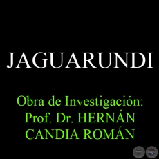 JAGUARUNDI - Obra de Investigacin: Prof. Dr. HERNN CANDIA ROMN