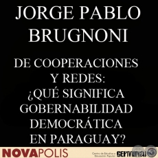 DE COOPERACIONES Y REDES: ¿QUÉ SIGNIFICA GOBERNABILIDAD DEMOCRÁTICA EN PARAGUAY? (¿QUÉ SIGNIFICA GOBERNABILIDAD DEMOCRÁTICA EN PARAGUAY?)