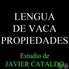 LENGUA DE VACA - PROPIEDADES - Estudio de JAVIER CATALDO