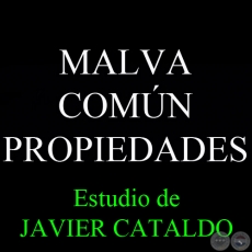 MALVA COMN - PROPIEDADES - Estudio de JAVIER CATALDO