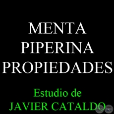 MENTA PIPERINA - PROPIEDADES - Estudio de JAVIER CATALDO