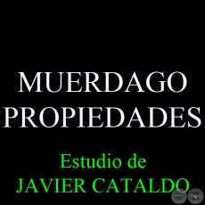 MUERDAGO - PROPIEDADES - Estudio de JAVIER CATALDO