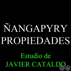 ANGAPYRY - PROPIEDADES - Estudio de JAVIER CATALDO