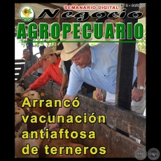 NEGOCIO AGROPECUARIO - Nº 2 - 04/02/13 - REVISTA DIGITAL