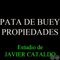 PATA DE BUEY - PROPIEDADES - Estudio de JAVIER CATALDO