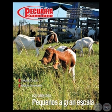 PECUARIA & NEGOCIOS - AO 9 - N 100 - REVISTA OCTUBRE 2012 - PARAGUAY