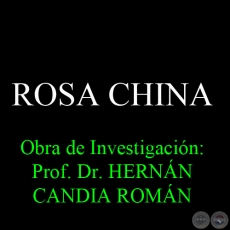 ROSA CHINA - Obra de Investigacin: Prof. Dr. HERNN CANDIA ROMN