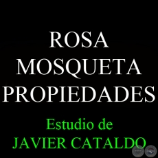 ROSA MOSQUETA - PROPIEDADES - Estudio de JAVIER CATALDO