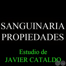 SANGUINARIA - PROPIEDADES - Estudio de JAVIER CATALDO