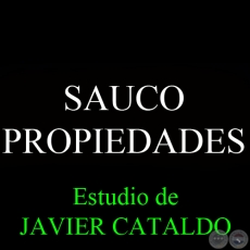 SAUCO - PROPIEDADES - Estudio de JAVIER CATALDO