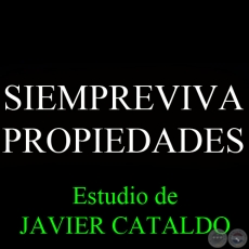 SIEMPREVIVA - PROPIEDADES - Estudio de JAVIER CATALDO